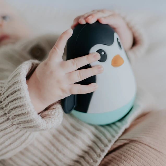 פינגווין שחור